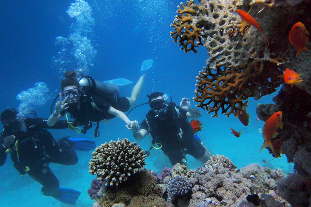 maua-diving-package